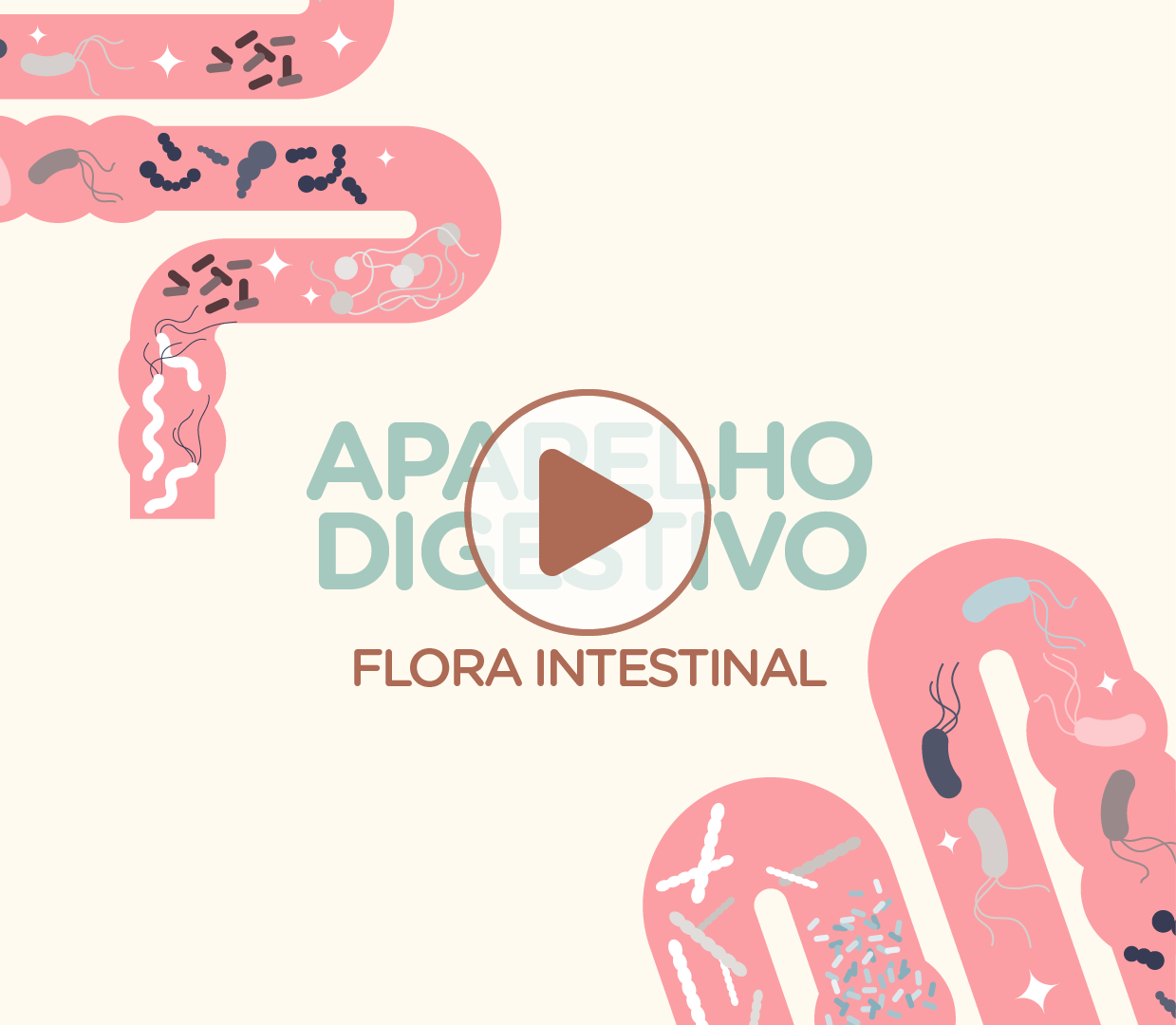 Flora Intestinal - Aparelho Digestivo